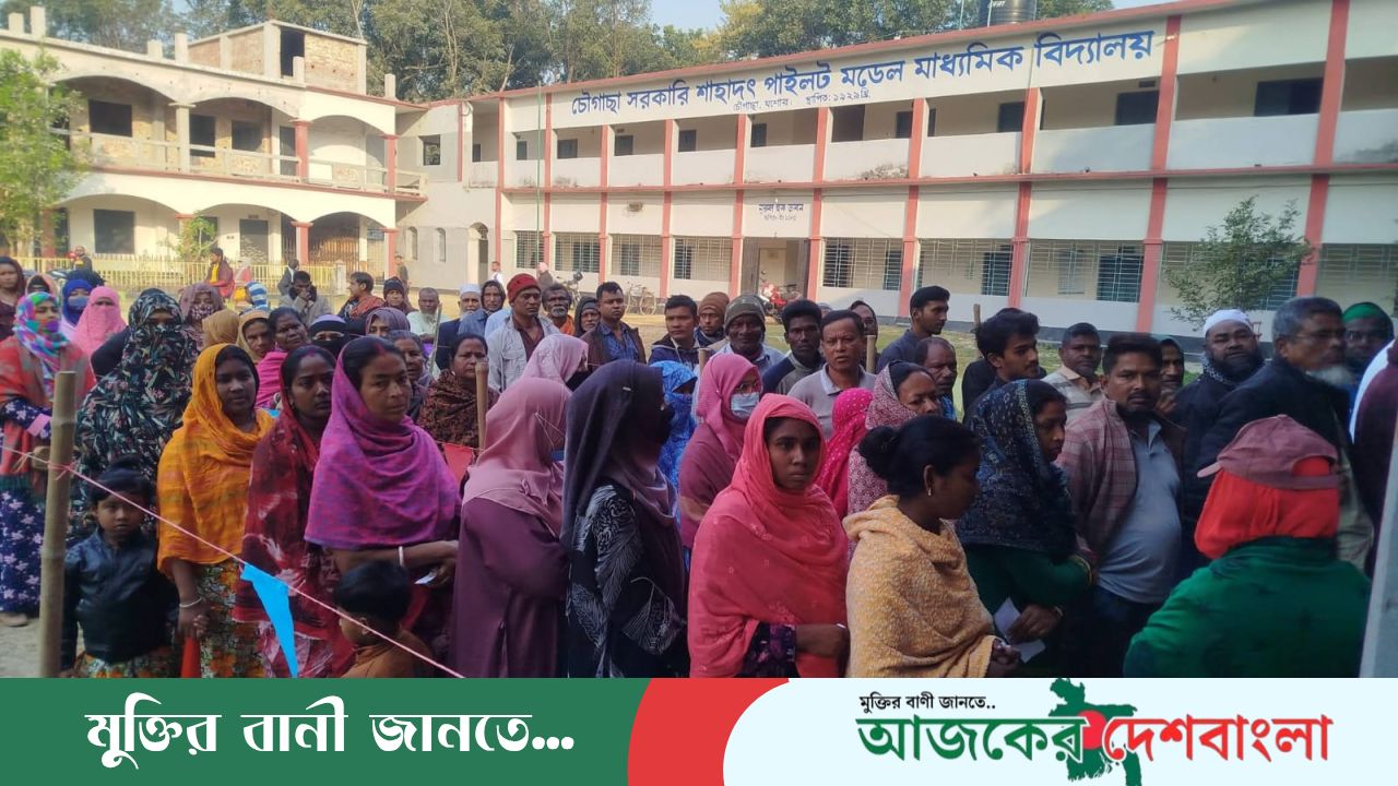 চৌগাছায় উৎসবমুখর পরিবেশে ভোটগ্রহণ: শাহাদাত পাইলট বিদ্যালয় কেন্দ্রে ভোটারদের দীর্ঘ সারি