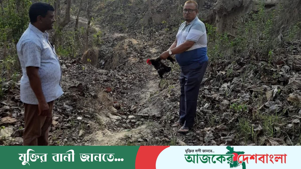 খাগড়াছড়িতে বন মুরগি নিয়ে নাটক আবার একদিন পর অবমুক্তি 