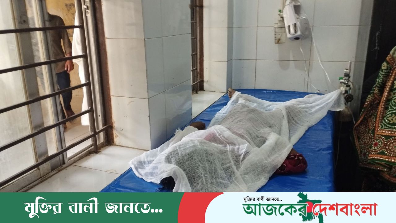 বারহাট্টায়  ৯ বছরের শিশুর  আত্মহত্যা , হাসপাতালে নেওয়ার পর মৃত ঘোষণা।