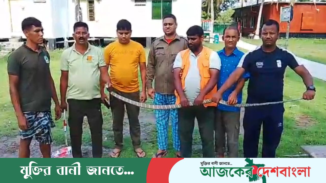 সুন্দরবন থেকে লোকালয় আসা দুটি বিষধর সাপ উদ্ধার, আতঙ্কে জয়মনি বাসি