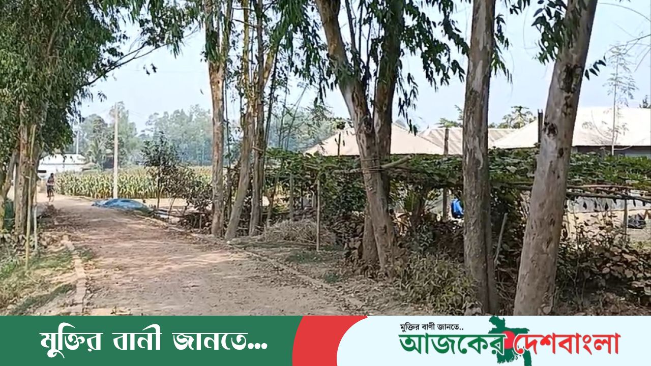 সোনামুখি টু পাঁচগাছি চরকাদাও সড়কের বেহাল দশা, চরম দুর্ভোগে এলাকাবাসী