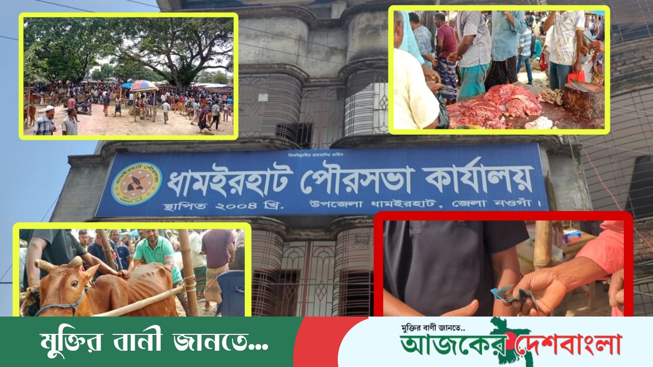 ধামইরহাটে টোল নৈরাজ্য: জিম্মি ক্রেতা-বিক্রেতা, অনিয়মের প্রশ্নে পালালেন হাট মালিক