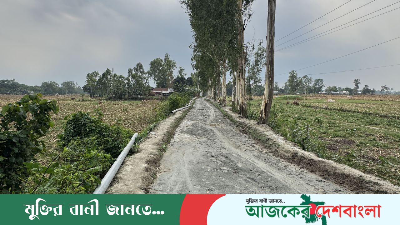 অবশেষে উন্নয়নের ছোঁয়া পেল বারই পাড়া গ্রামের দীর্ঘদিনের অবহেলিত রাস্তা
