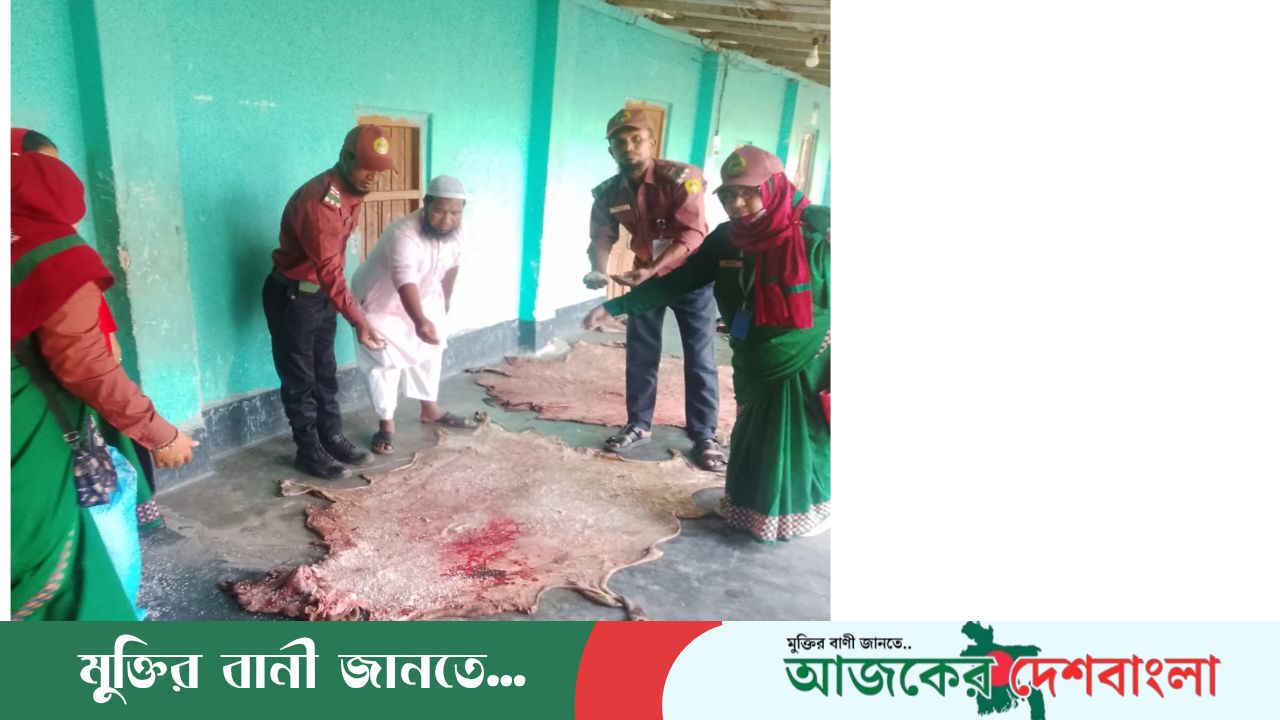 ঈদে কোরবানির পশুর চামড়া সংরক্ষণে মাঠে সক্রিয় আনসার ভিডিপি