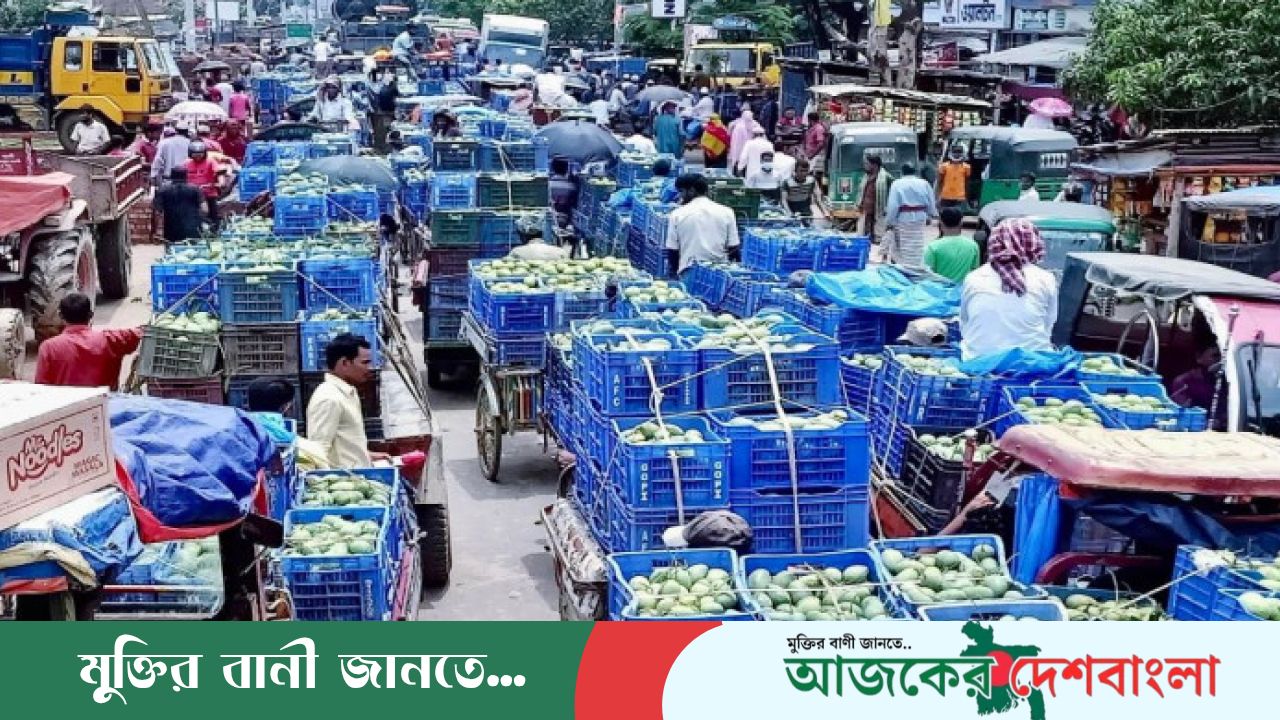 জমজমাট উত্তরের বৃহত্তম আম বাজার ‘সাপাহার’, প্রতিদিন কোটি টাকার লেনদেন