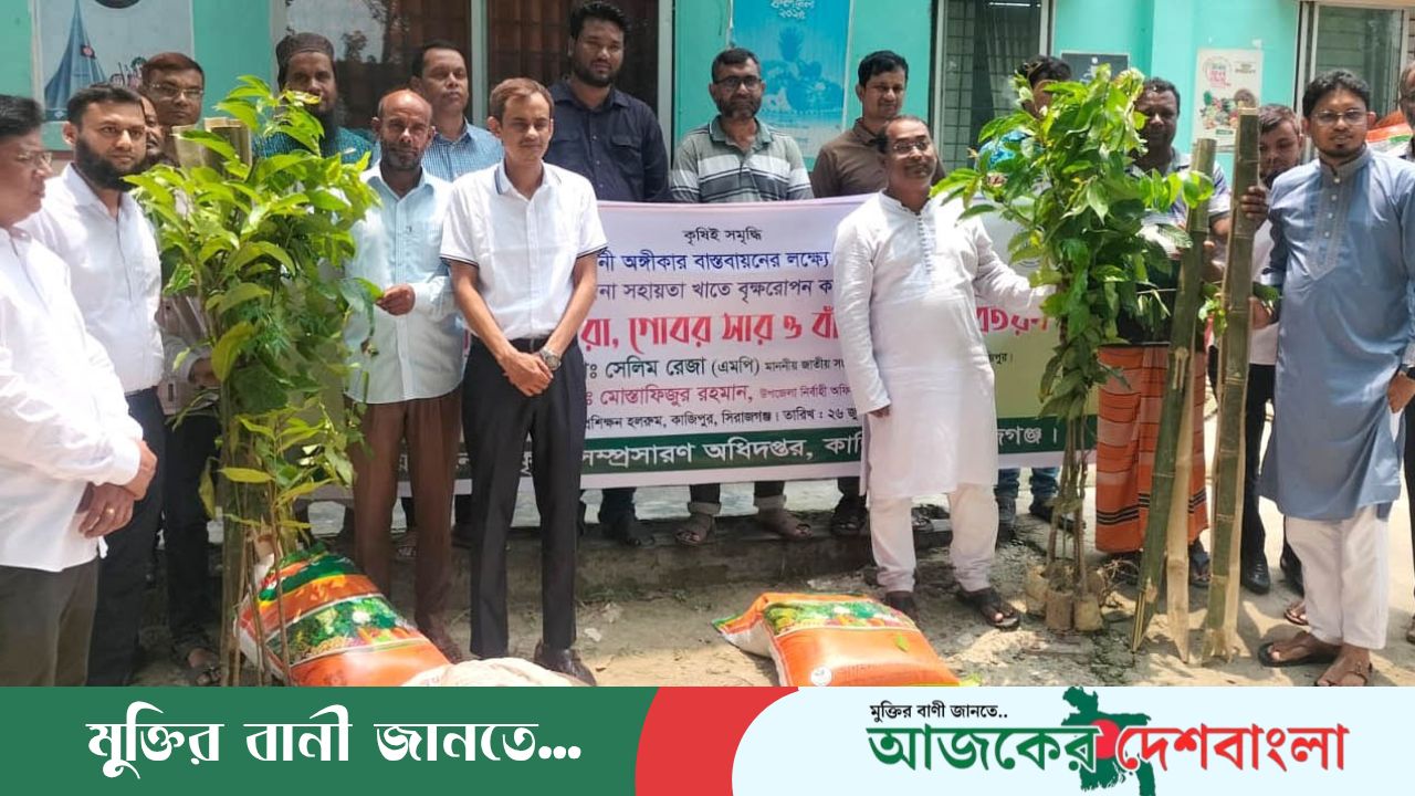 কাজিপুরে কৃষকেরা পেলেন   গাছের চারা, জৈবসার ও বাঁশের খুঁটি