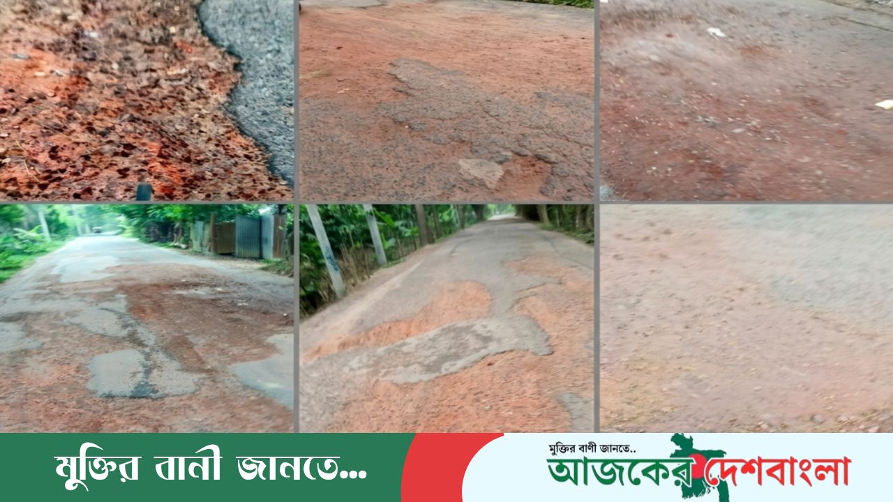 মরণফাঁদে রূপ নিয়েছে নারিকেলবাড়ীয়া-বাঘারপাড়া সড়ক