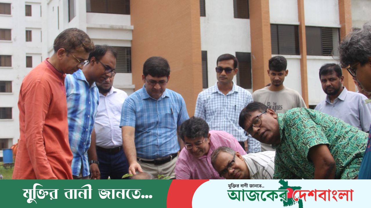 নজরুল বিশ্ববিদ্যালয়ে বাংলা বিভাগের বৃক্ষরোপণ কর্মসূচি উদ্বোধন
