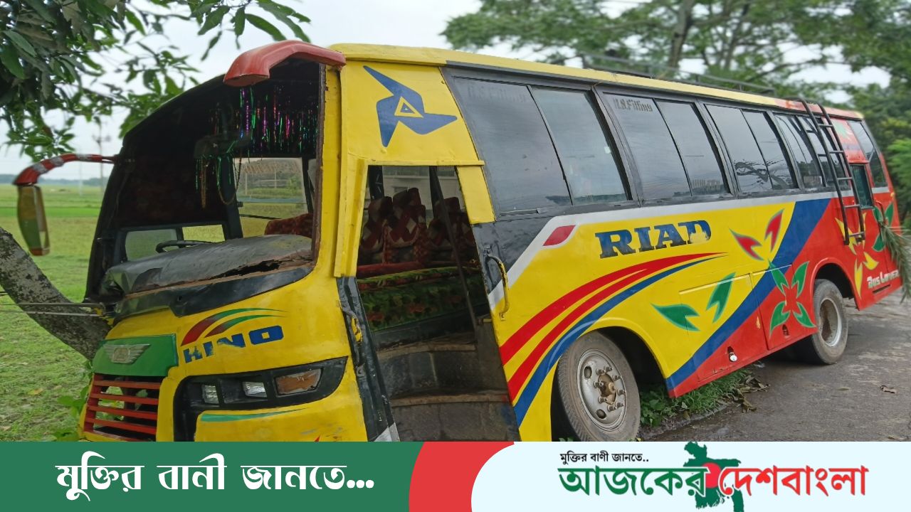বাঘারপাড়ায় নিয়ন্ত্রণহীন বাস গাছে ধাক্কা, অক্ষত সব যাত্রী