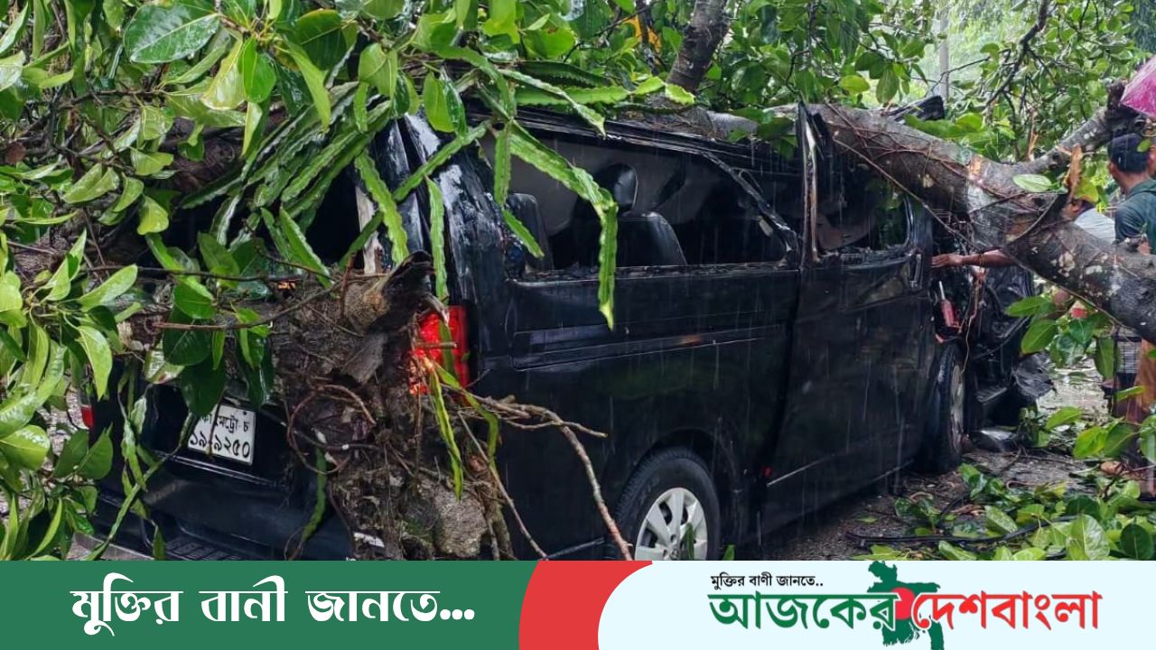 টেকনাফের হোয়াইক্যংয়ে চলন্ত গাড়ির ওপর গাছ ভেঙে পড়েছে