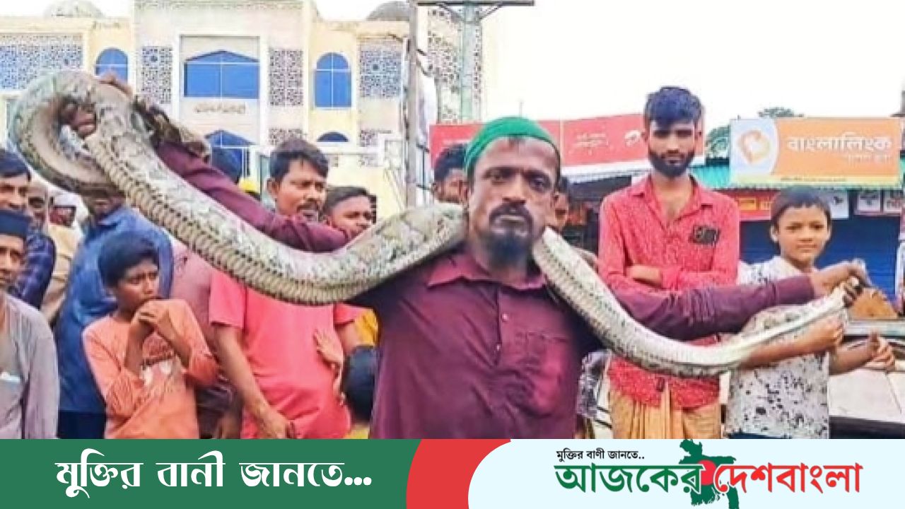 সুন্দরবন থেকে লোকালয়ে আসা ৯ ফুটের অজগর উদ্ধার