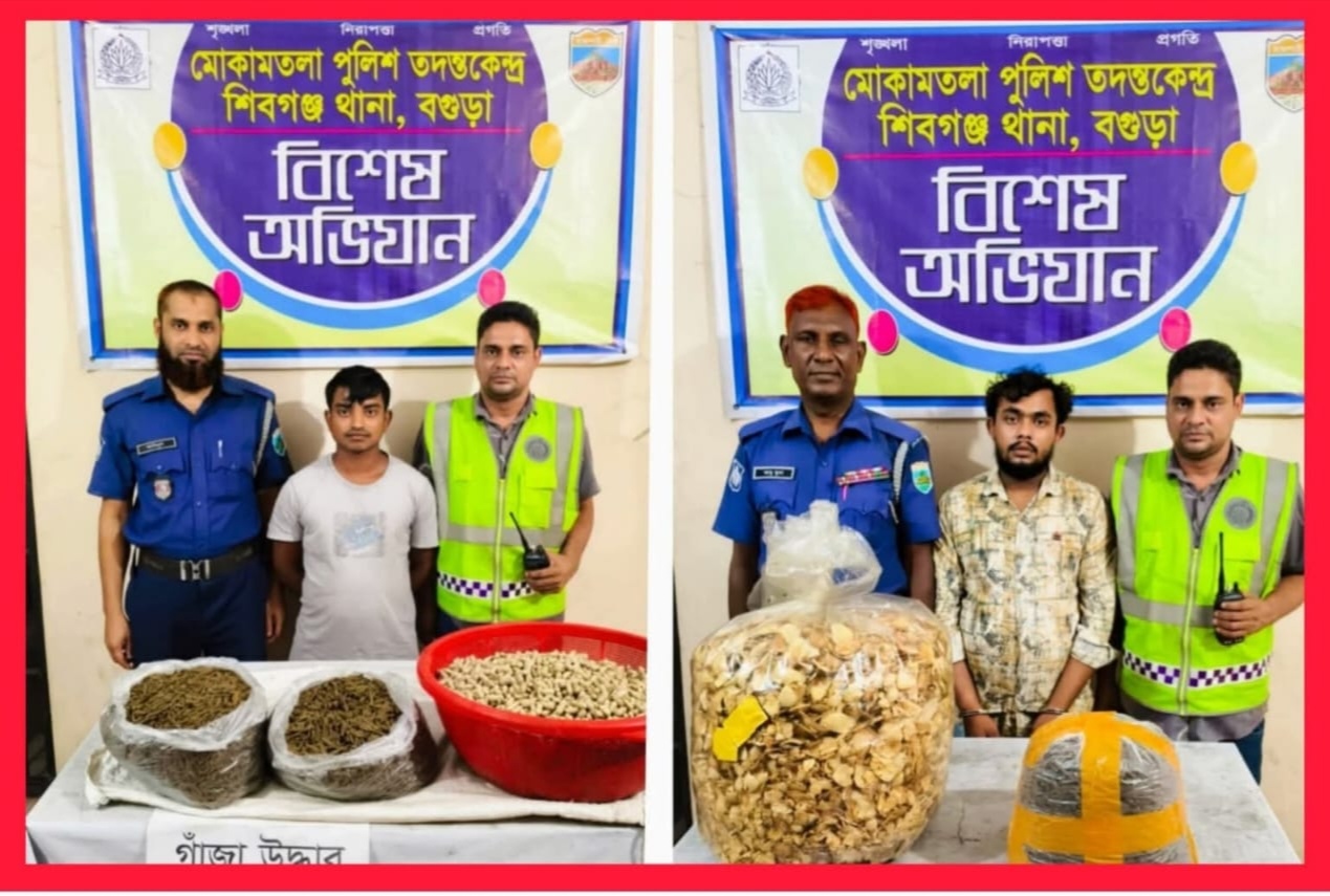 শিবগঞ্জের মোকামতলায় ৮কেজি গাঁজা সহ ২ ব্যবসায়ী গ্রেফতার
