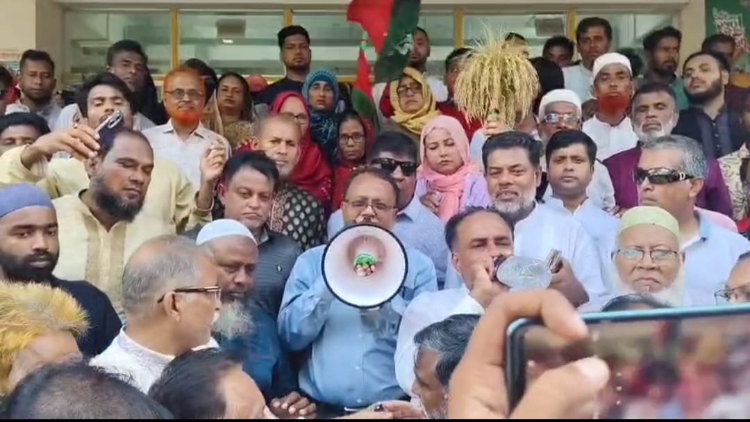 হোমনায় বিএনপির ঐতিহাসিক জাতীয় বিপ্লব ও সংহতি দিবস পালন